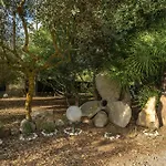 Il Lentischio - Rosmarino SantʼAntìoco