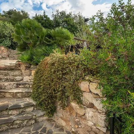 Il Lentischio - Rosmarino Nyaraló