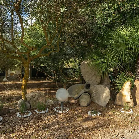 Il Lentischio - Rosmarino SantʼAntìoco
