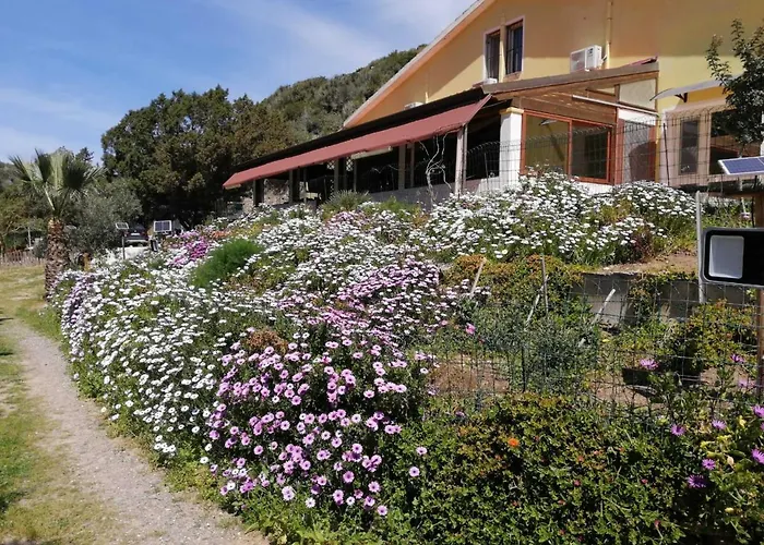 Il Lentischio - Rosmarino * SantʼAntìoco